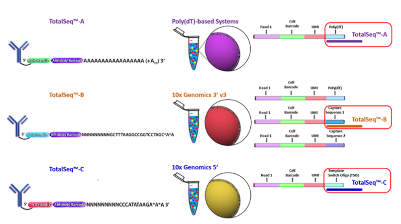 1658298240887709.png 1.png